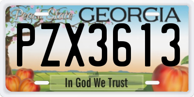 GA license plate PZX3613