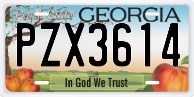 GA license plate PZX3614