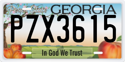 GA license plate PZX3615