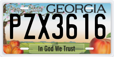 GA license plate PZX3616