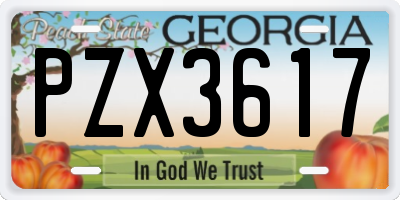 GA license plate PZX3617