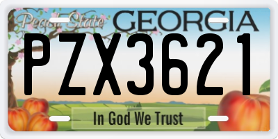 GA license plate PZX3621
