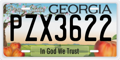 GA license plate PZX3622