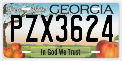 GA license plate PZX3624