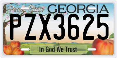 GA license plate PZX3625
