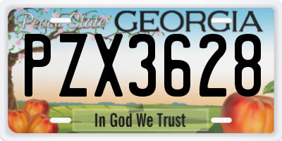 GA license plate PZX3628