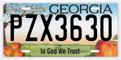 GA license plate PZX3630