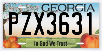 GA license plate PZX3631