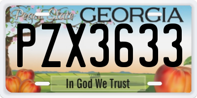 GA license plate PZX3633