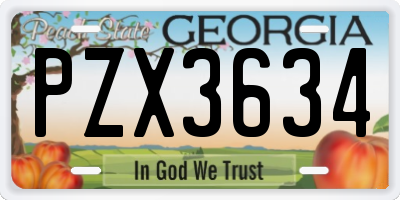 GA license plate PZX3634