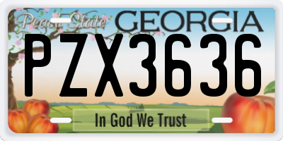 GA license plate PZX3636