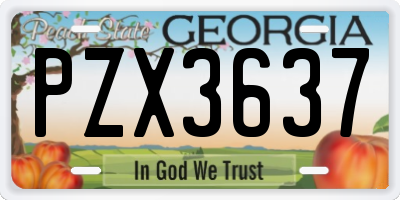 GA license plate PZX3637