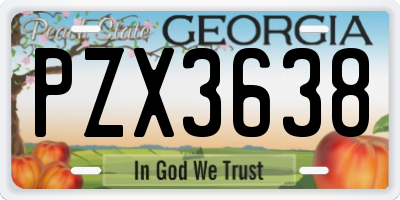 GA license plate PZX3638