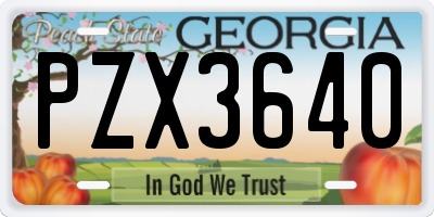 GA license plate PZX3640