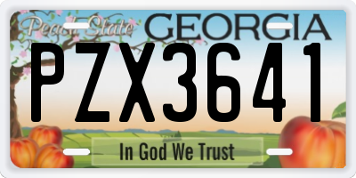 GA license plate PZX3641