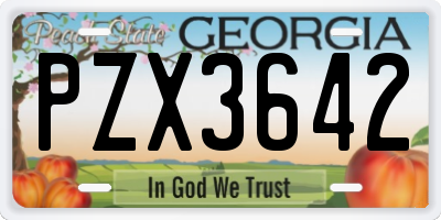 GA license plate PZX3642