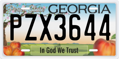 GA license plate PZX3644