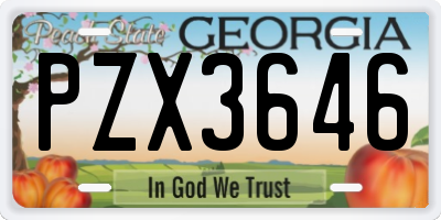 GA license plate PZX3646
