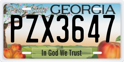GA license plate PZX3647