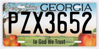 GA license plate PZX3652