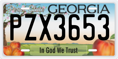 GA license plate PZX3653