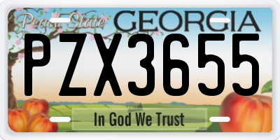 GA license plate PZX3655