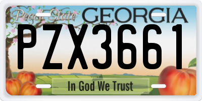 GA license plate PZX3661