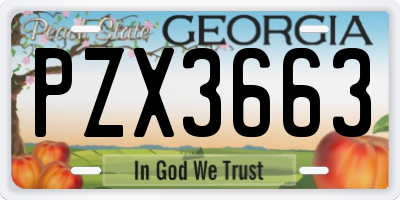 GA license plate PZX3663