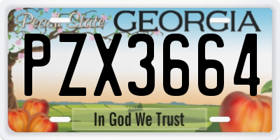 GA license plate PZX3664