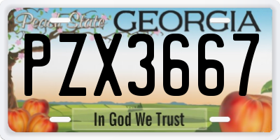 GA license plate PZX3667