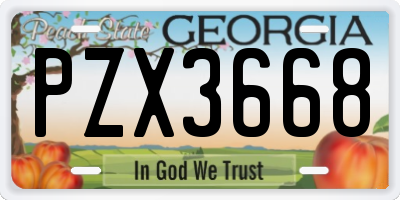 GA license plate PZX3668