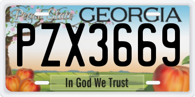GA license plate PZX3669