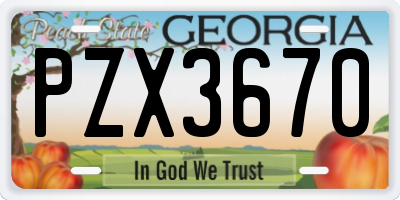 GA license plate PZX3670