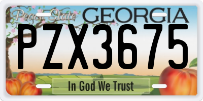GA license plate PZX3675