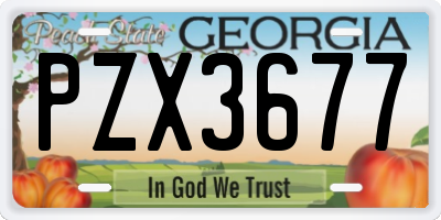 GA license plate PZX3677