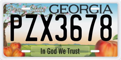 GA license plate PZX3678