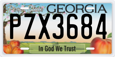 GA license plate PZX3684