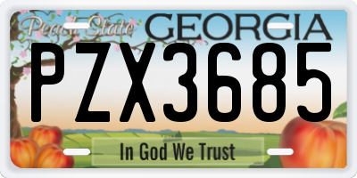 GA license plate PZX3685
