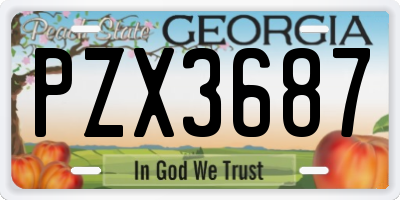 GA license plate PZX3687