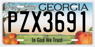 GA license plate PZX3691