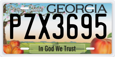 GA license plate PZX3695