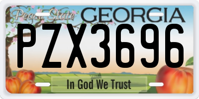GA license plate PZX3696