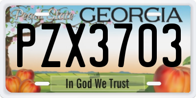 GA license plate PZX3703