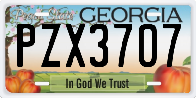 GA license plate PZX3707