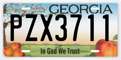 GA license plate PZX3711