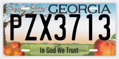 GA license plate PZX3713