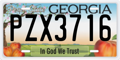 GA license plate PZX3716