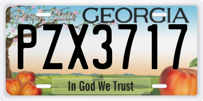 GA license plate PZX3717
