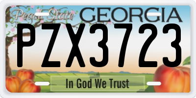GA license plate PZX3723