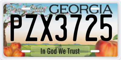 GA license plate PZX3725